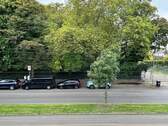 Blick zum Park - 