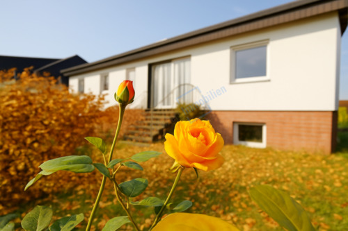 AUSSENANSICHT - KI GENERIERT - ... HERBSTROSE ... - 499.900,00 EUR Kaufpreis, ca.  130,50 m² Wohnfläche