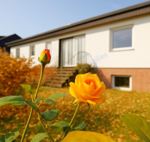 ... HERBSTROSE ... - 499.900,00 EUR Kaufpreis, ca.  130,50 m² Wohnfläche in Groß-Gerau (PLZ: 64521) Dornheim