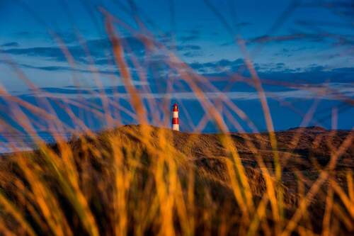 Bild 2 - 4 Zimmer Doppelhaushälfte zum Kaufen in Sylt-Ost / Tinnum