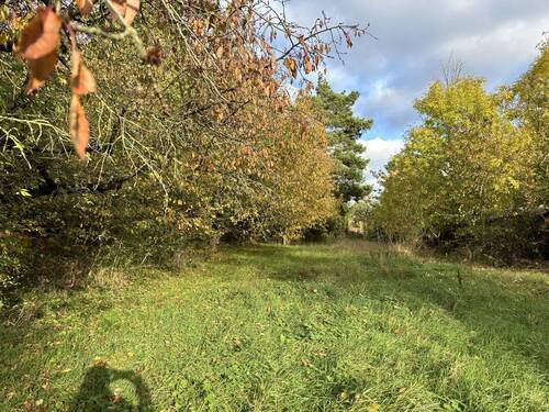 Garten - 