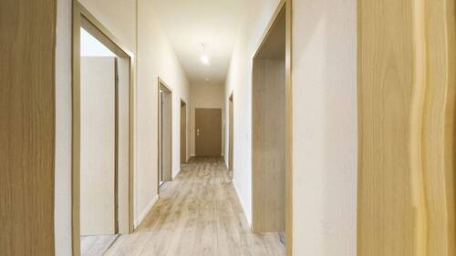 Flur - 3 Zimmer Etagenwohnung zur Miete in Magdeburg