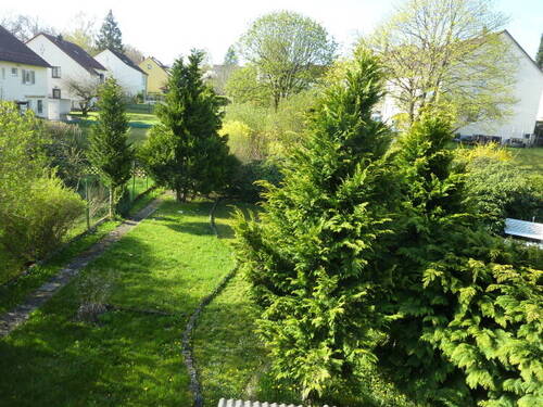 P1110333.JPG - 
