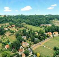 Exklusive Erdgeschosswohnung in den Weinbergen, Südterrasse (60 m²) und Garten, Stellplätze - Radebeul