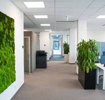 Top-modernes Flex-Desk im LEED-GreenHouse im Zentrum von Frechen