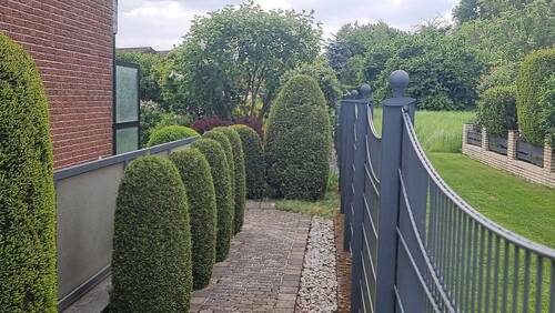 20250505_125335.jpg - 