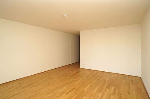 Wohnen - Etagenwohnung mit 96,50 m² in Dresden zur Miete