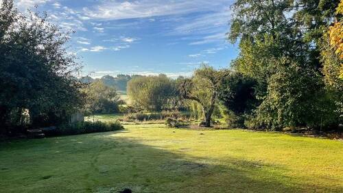 Blick in den Garten - 