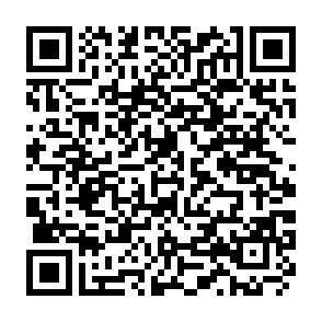 QR-Code - 