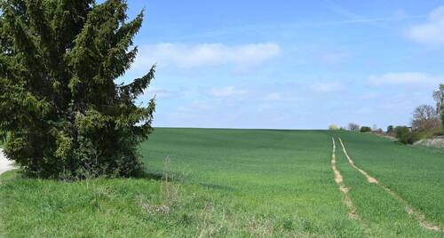 Bild 5 - 