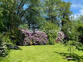 Bild 19 - 