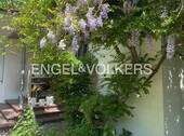 Bild 24 - 