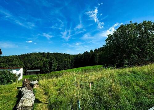 Blick ins Grüne - Grundstück zum Kaufen in Wenzenbach