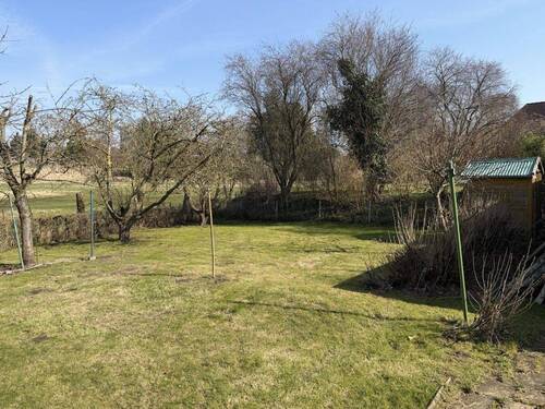 Blick in den Garten - 