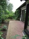 Terrasse - 2 Zimmer Einfamilienhaus zur Miete in Düsseldorf