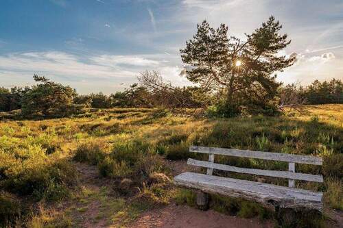 Natur - 2 Balkone, 1 Terrasse & eigener Garten - Highlightwohnung an der Heide!