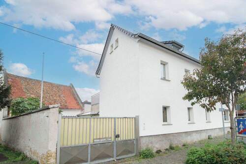 Frontansicht - 8 Zimmer Einfamilienhaus zum Kaufen in Flörsheim am Main