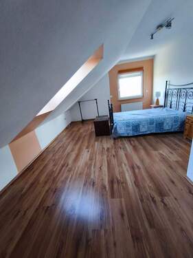 IMG_20260306_165551.jpg - 