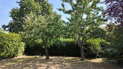 Garten - 