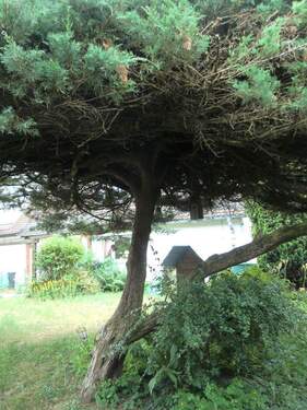 Garten hinter dem Haus - Doppelhaushälfte mit 120,00 m&sup2; in Oberschleißheim zum Kaufen