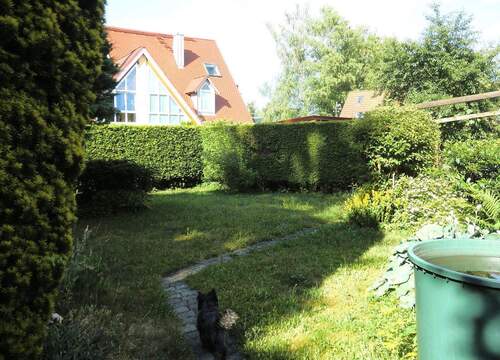 Garten hinter dem Haus - 