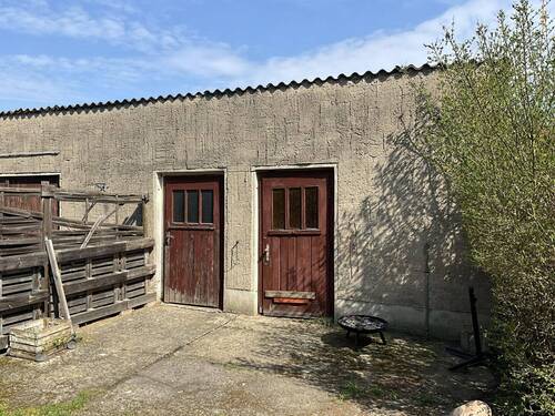 Seitliche Schuppen - 