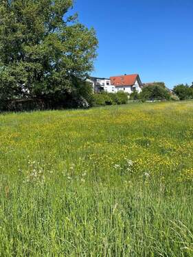 in herrlicher Natur gelegen - 