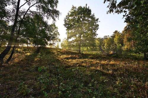 Dresden Heide - Naturnah an der Dresdner Heide leben mit Balkon & Tageslichtbad!