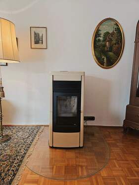 Kamin im WZ - 