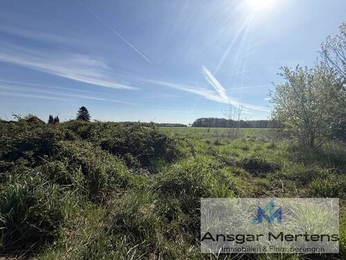 Blick Richtung Feld & Wald - Grundstück in Mönchengladbach / Mönchengladbach-Günhoven