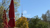 Weinbergspark/Mitte - 