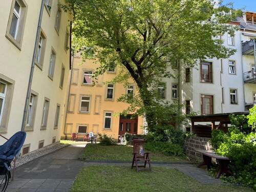 Hinterhof - 