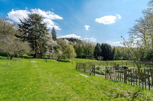Seitliche Gartenansicht - 