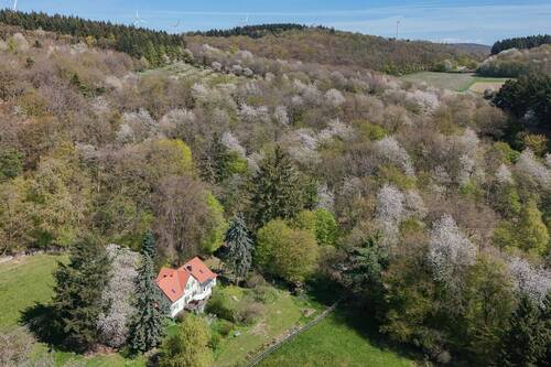Einmalige Lage im Taunus - 8 Zimmer Einfamilienhaus zum Kaufen in Grävenwiesbach