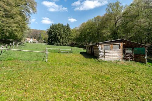 Pferdehaltung möglich - 