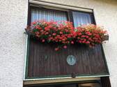 Schlafzimmerfenster - 