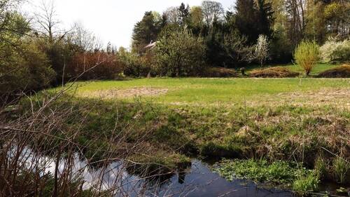 …direkt vor der Haustüre - 