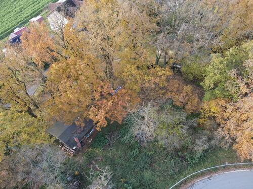 Bild 1 - Ländlich wohnen, urban genießen - Großzügiges Grundstück für Ihr KfW 40-Haus in grüner Lage