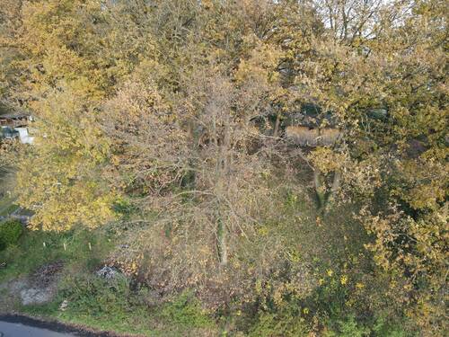 Bild 2 - Grundstück zum Kaufen in Felsberg-Lohre