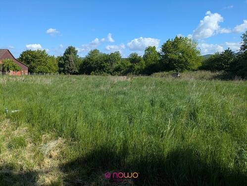 Blick über das Grundstück - Grundstück in Bad Lauterberg im Harz (OT Bartolfelde)