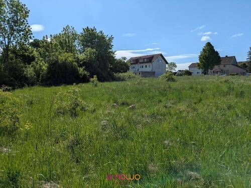 Grundstück mit Nachbarhaus - Grundstück in Bad Lauterberg im Harz (OT Bartolfelde) zum Kaufen