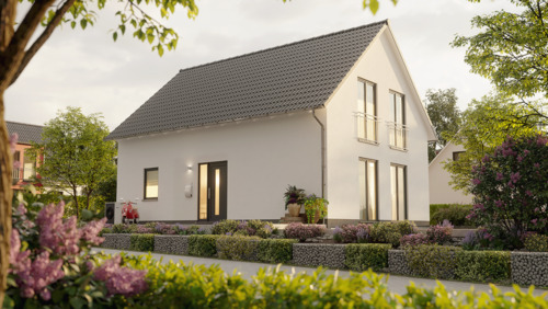 Final_Ext_Einfamilienhaus_Bodensee_129_Ecolution_StreetView_Hausplaner.png - Neubauprojekt in Brahmenau - Ihr modernes Zuhause für Singles