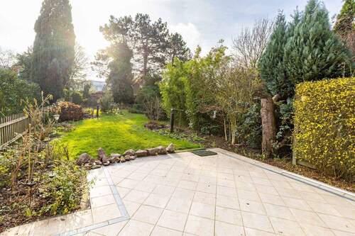 Blick in den Garten - 