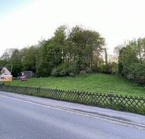 Grundstücke Grünflächen Wiesen, ggfs. mit Entwicklungspotential, in Balve zu verkaufen