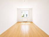 Zimmer III - 