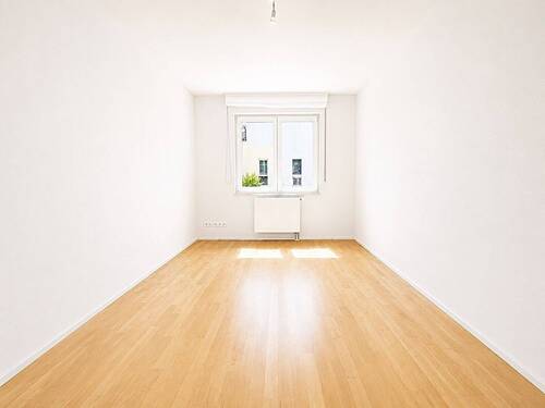 Zimmer III - 