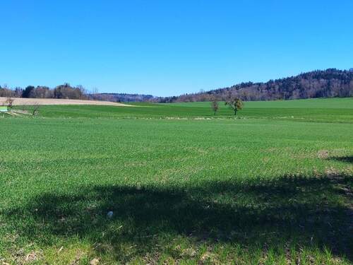 Umgebung - 5 Zimmer Einfamilienhaus zum Kaufen in Stockach