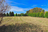 Blick Richtung Süden - 
