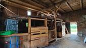 IMG_1065.JPG - 