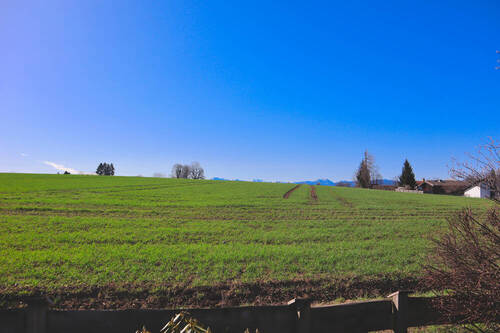 Weitblick/Bergblick - 